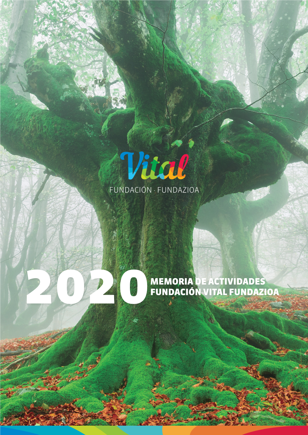 Memoria De Actividades Fundación Vital Fundazioa