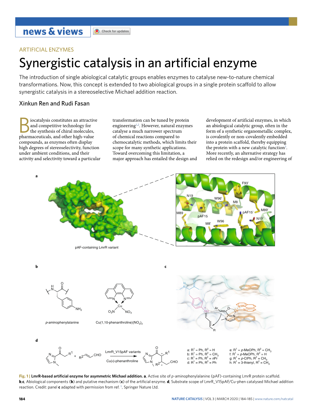 Synergistic Catalysis in an Artificial Enzyme