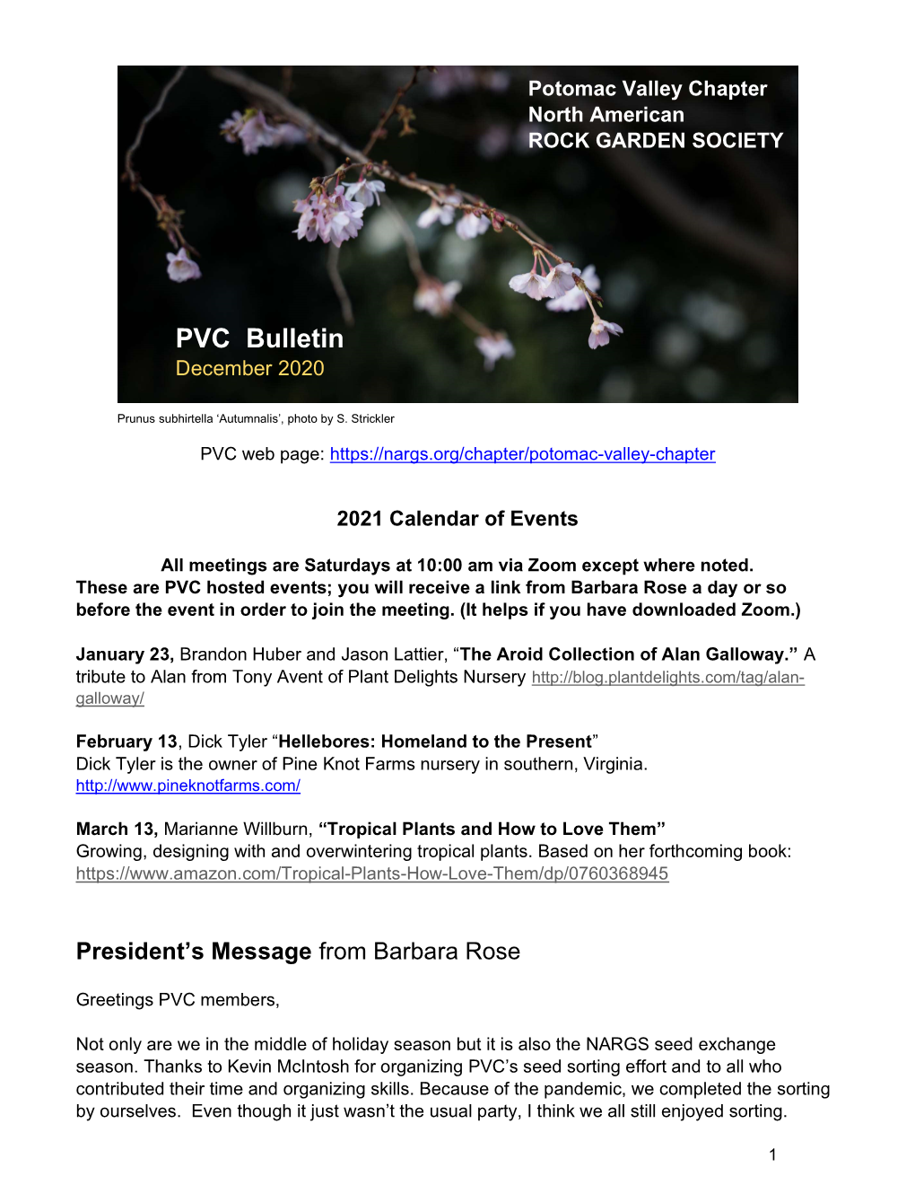 PVC Bulletin December 2020