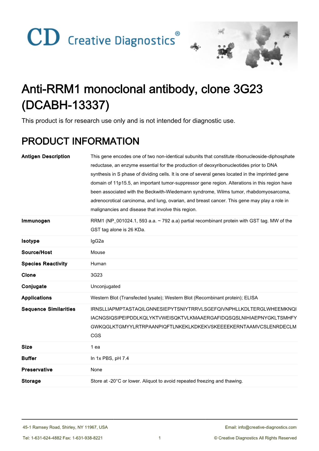 Anti-RRM1 Monoclonal Antibody, Clone 3G23 (DCABH-13337) This Product Is for Research Use Only and Is Not Intended for Diagnostic Use