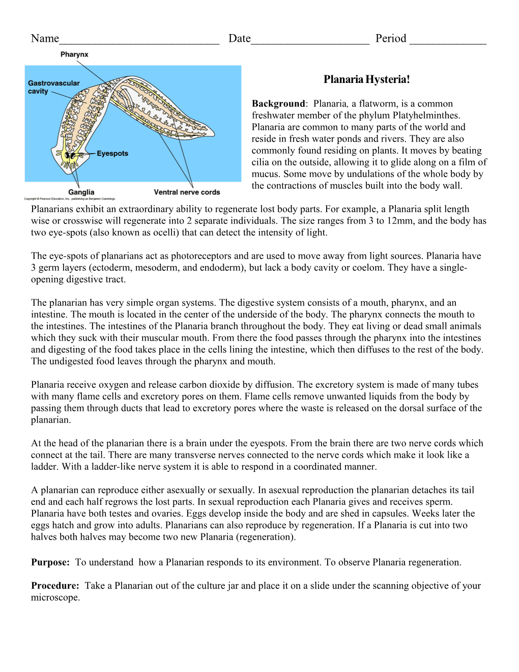 Planaria Hysteria!