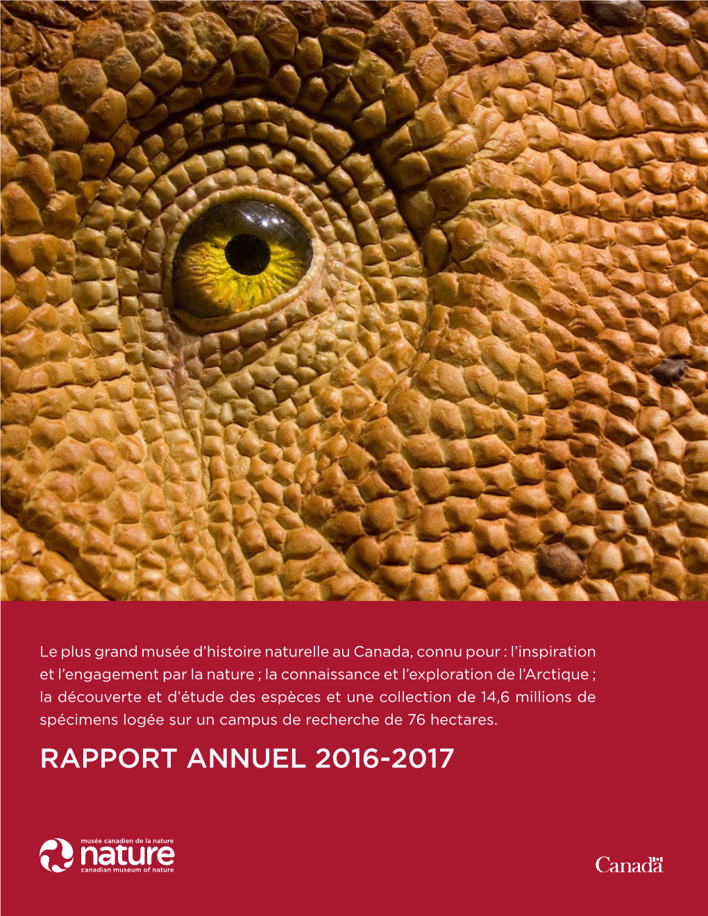 RAPPORT ANNUEL 2016-2017 Table Des Matières