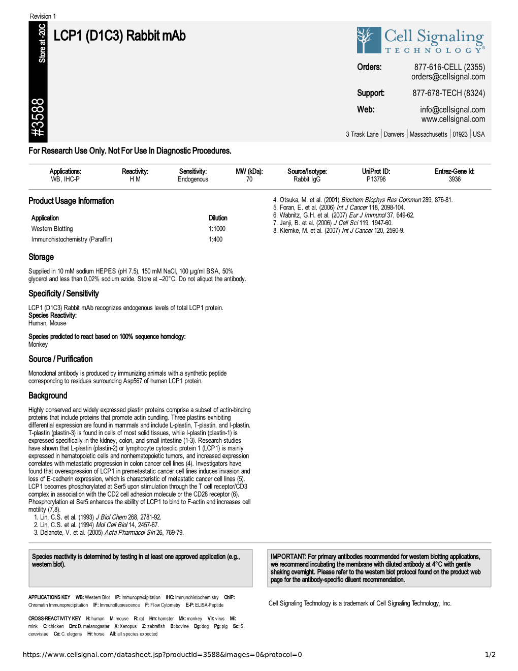 LCP1 (D1C3) Rabbit Mab A