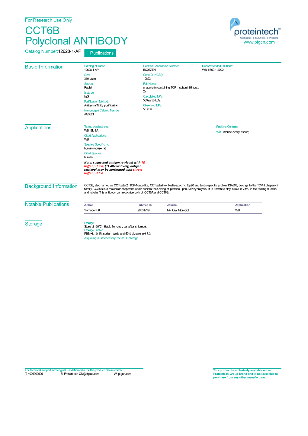 CCT6B Polyclonal ANTIBODY