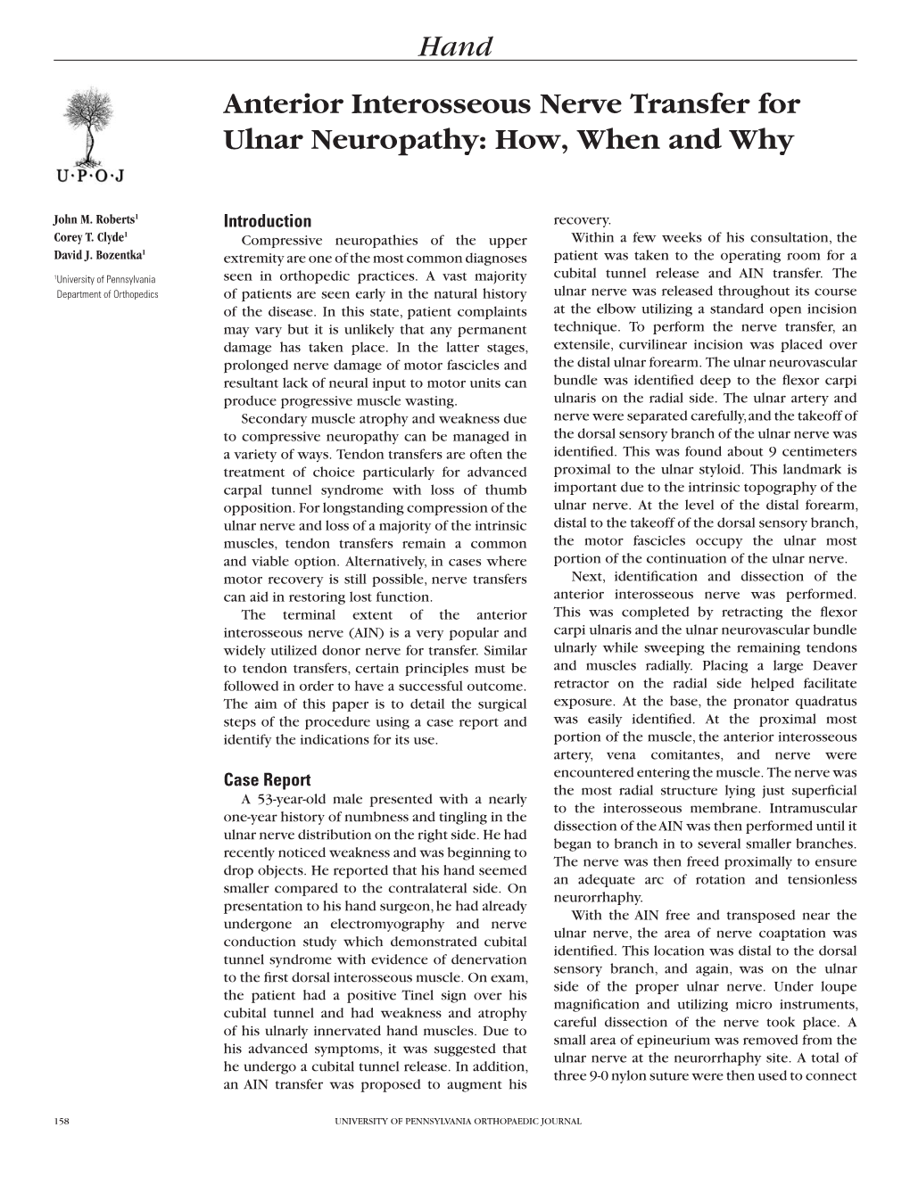 Anterior Interosseous Nerve Transfer for Ulnar Neuropathy: How, When and Why