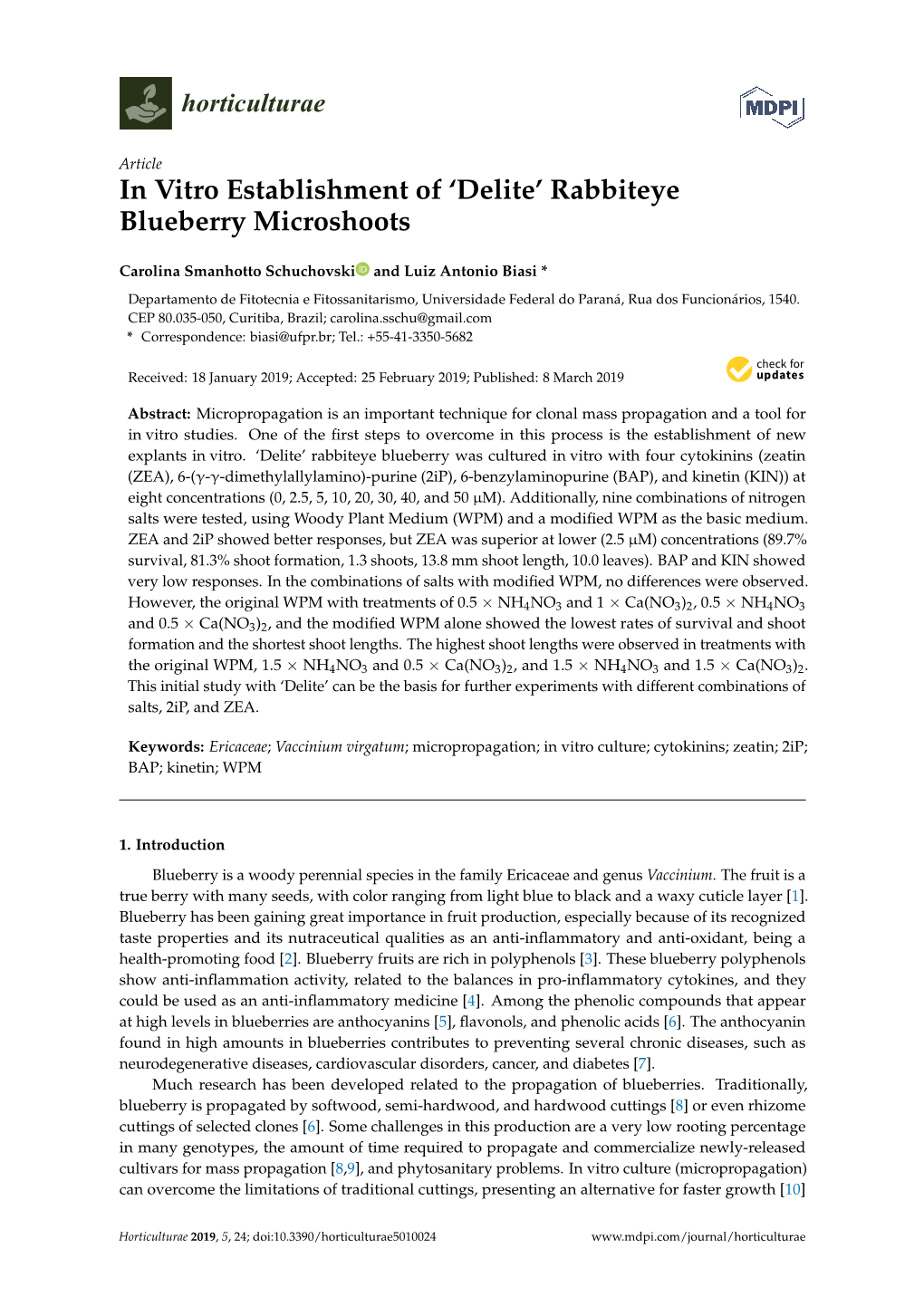 'Delite' Rabbiteye Blueberry Microshoots