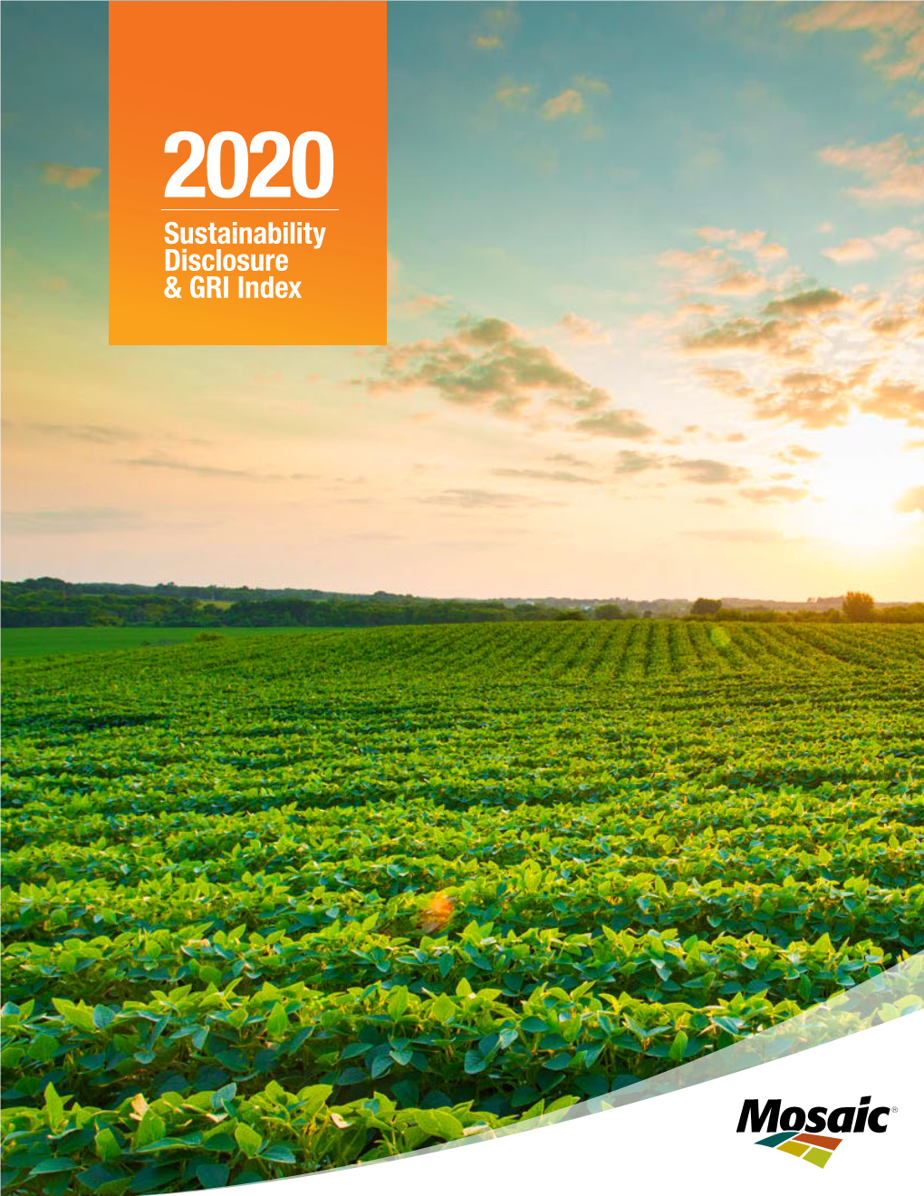 2020 Sustainability Disclosure and GRI Index