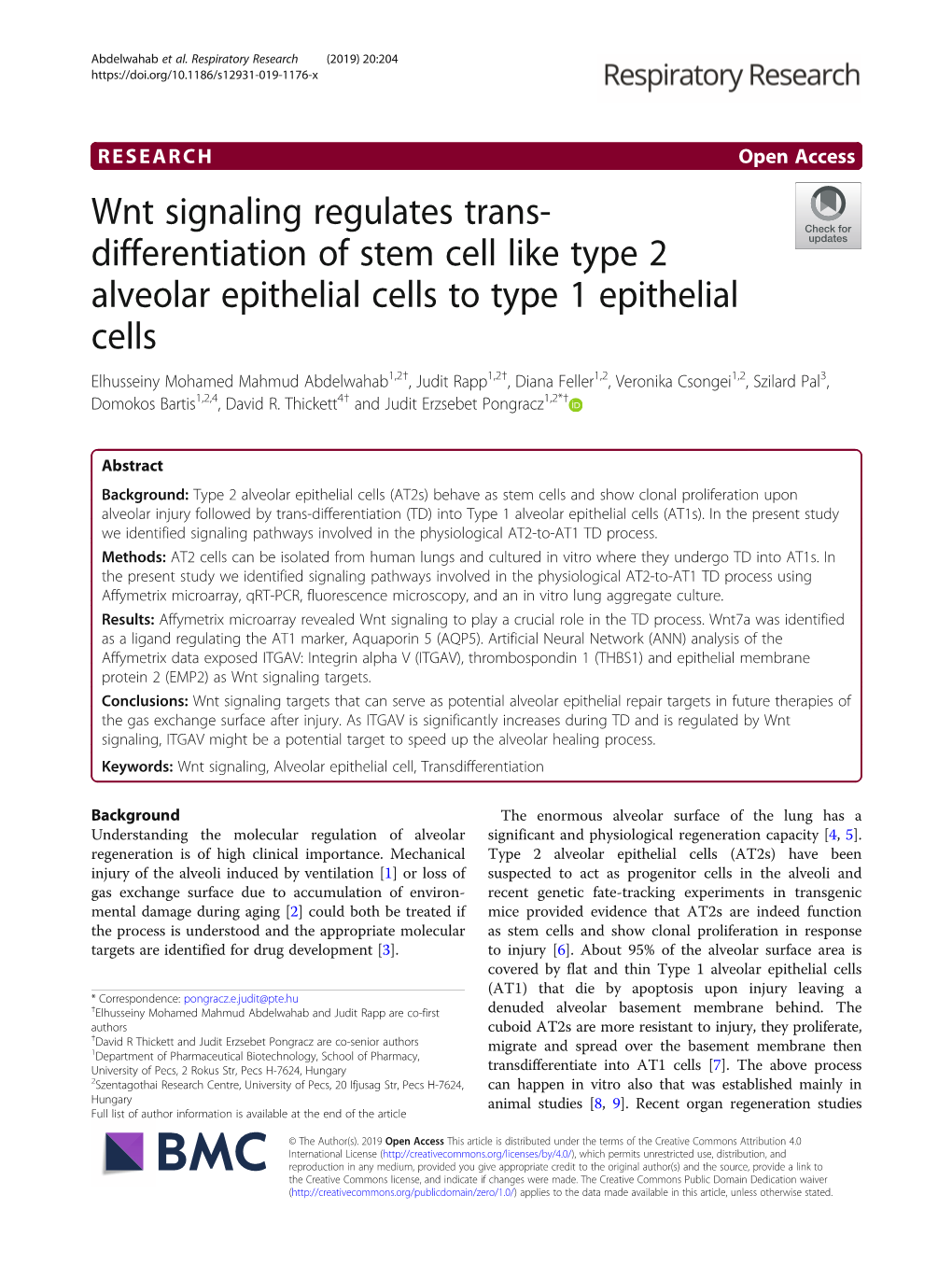 Wnt Signaling Regulates Trans-Differentiation of Stem Cell Like