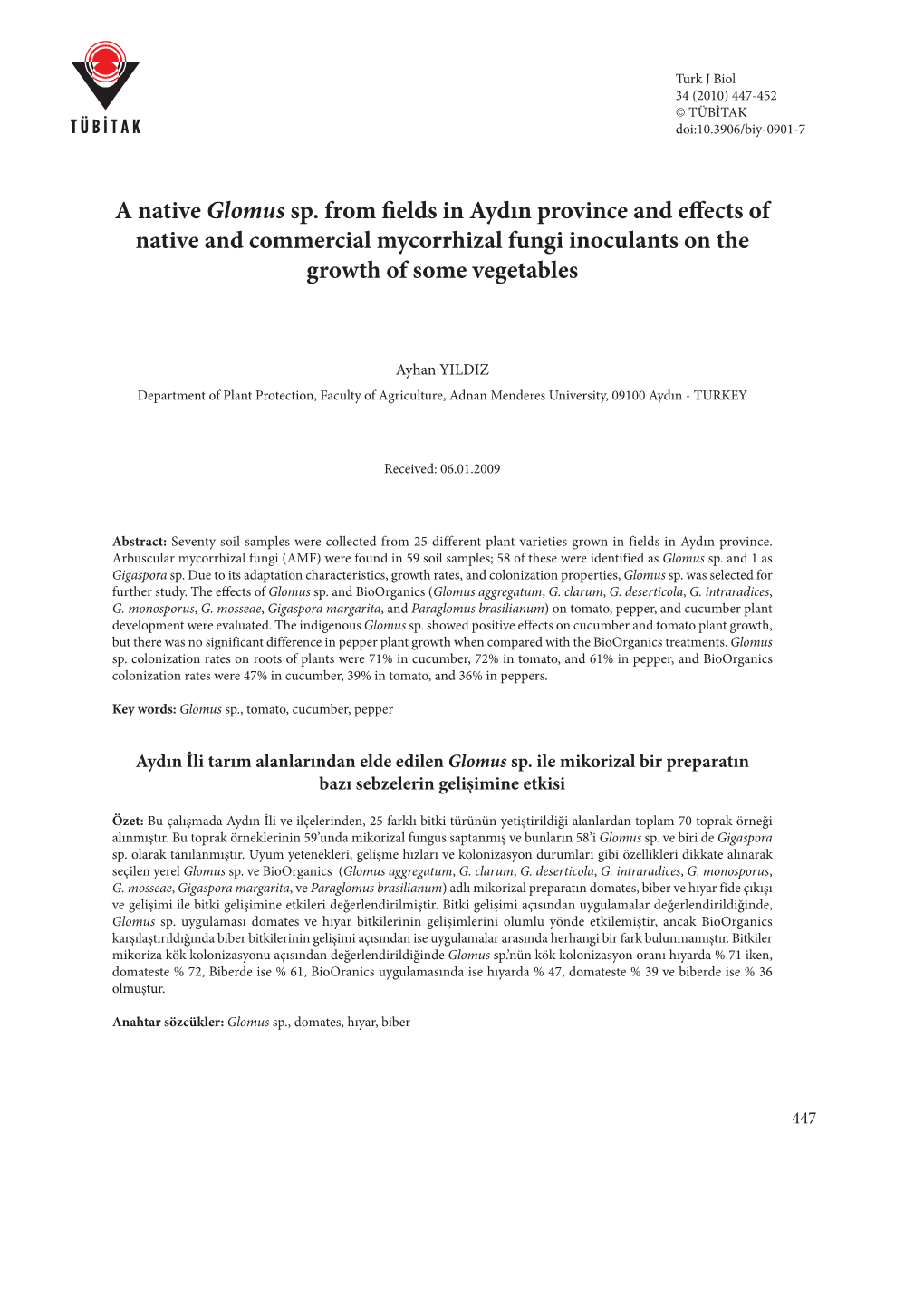 A Native Glomus Sp. from Fields in Aydın Province and Effects of Native and Commercial Mycorrhizal Fungi Inoculants on the Growth of Some Vegetables