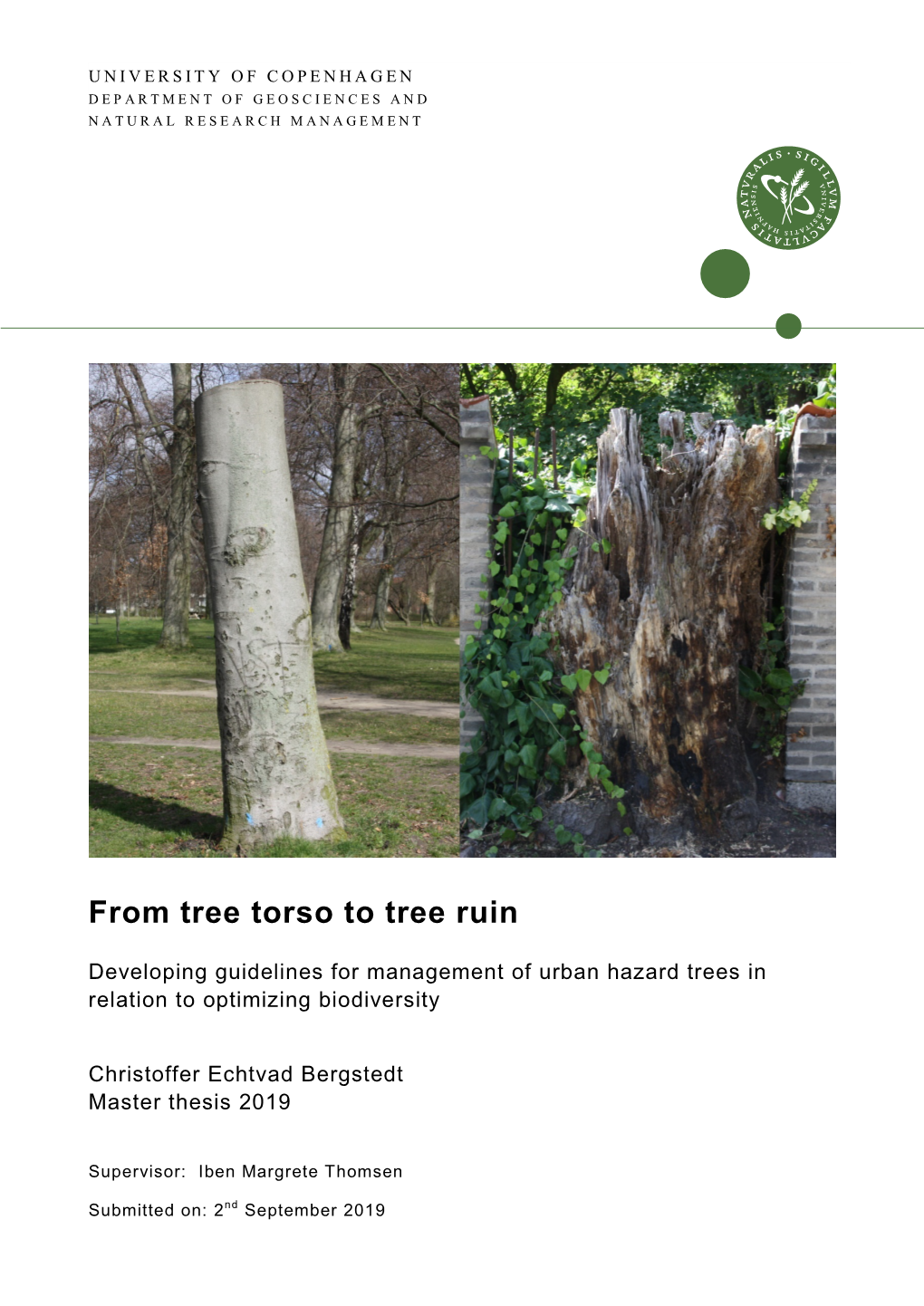 From Tree Torso to Tree Ruin