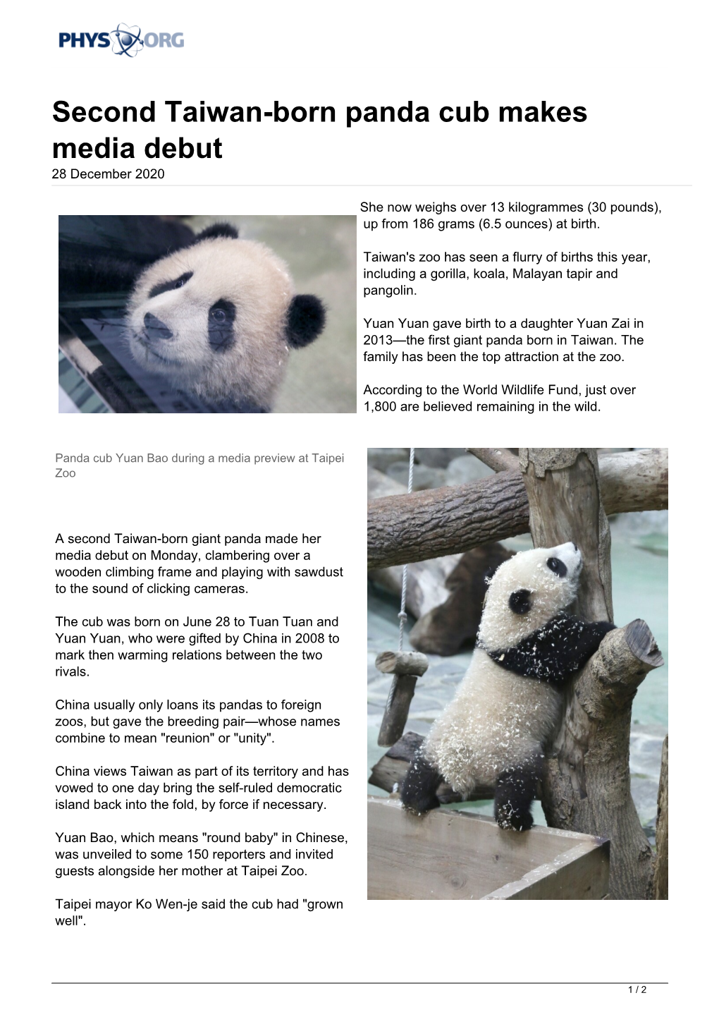 Second Taiwan-Born Panda Cub Makes Media Debut 28 December 2020