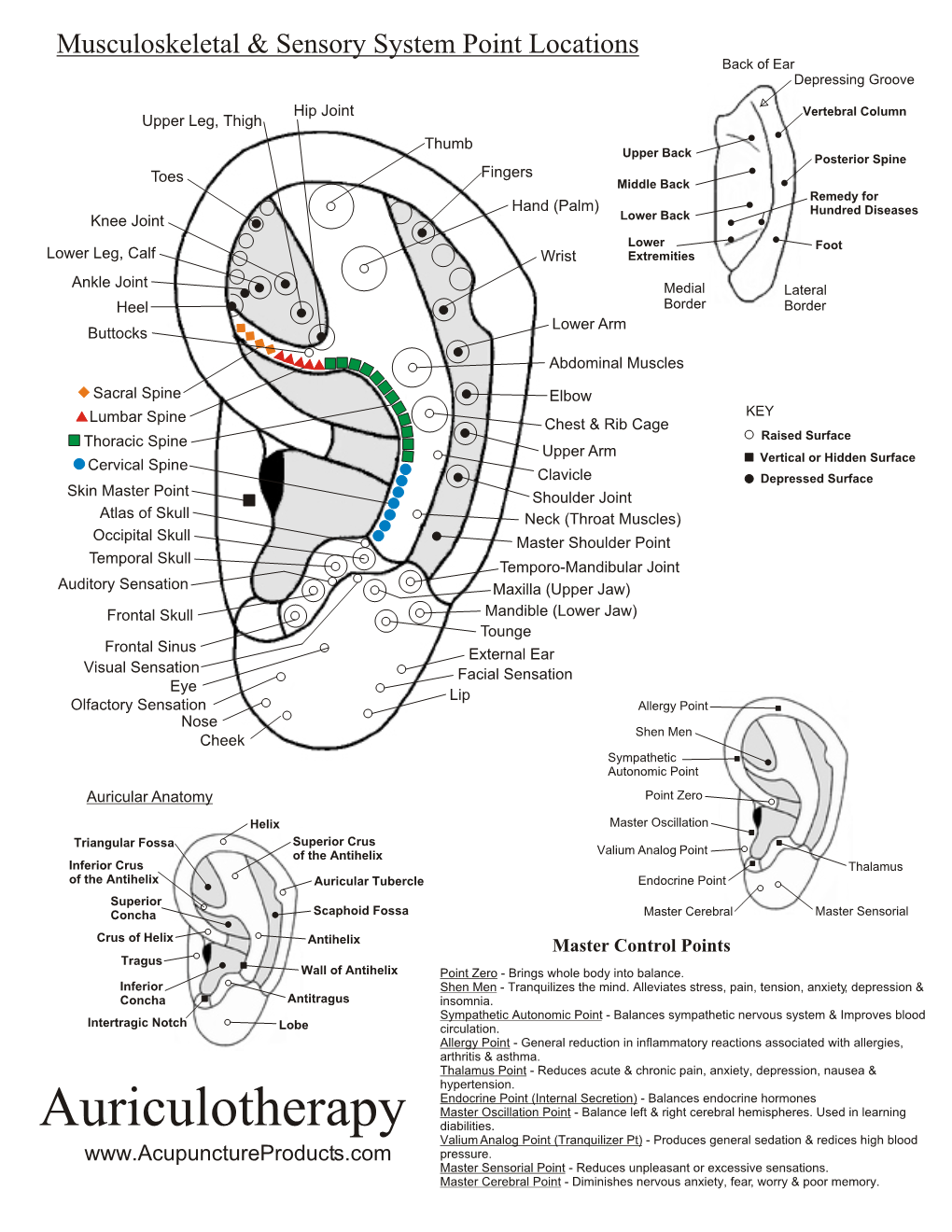 Auriculotherapy Diabilities