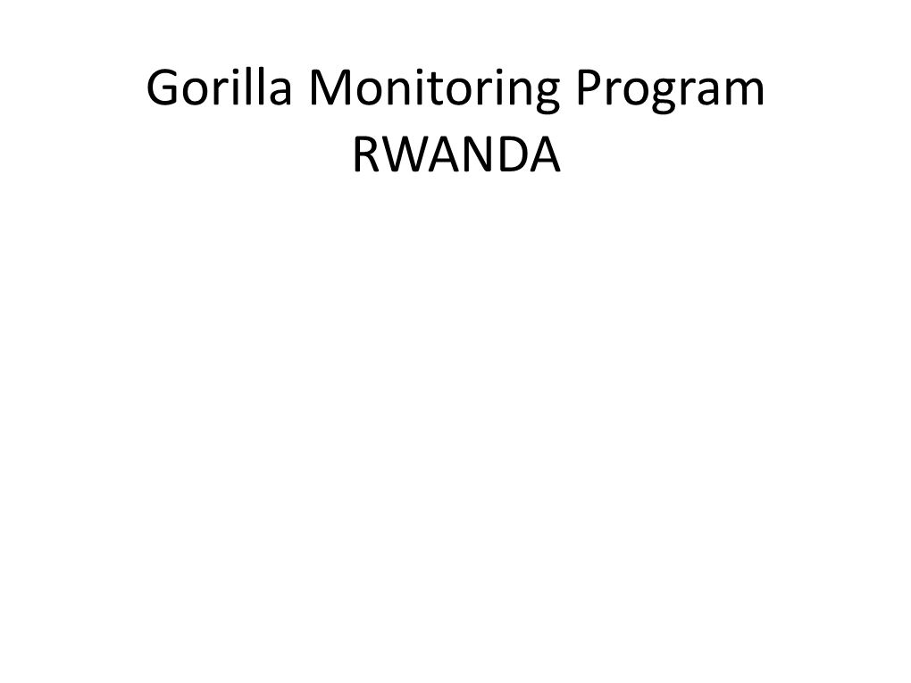 Gorilla Program: Research and Protection