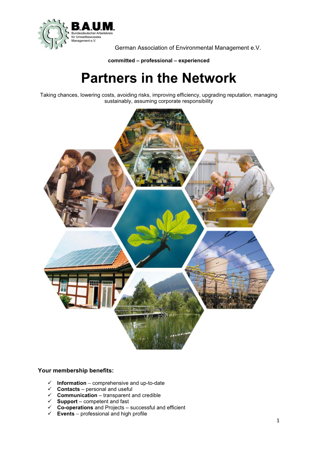 Partners in the Network