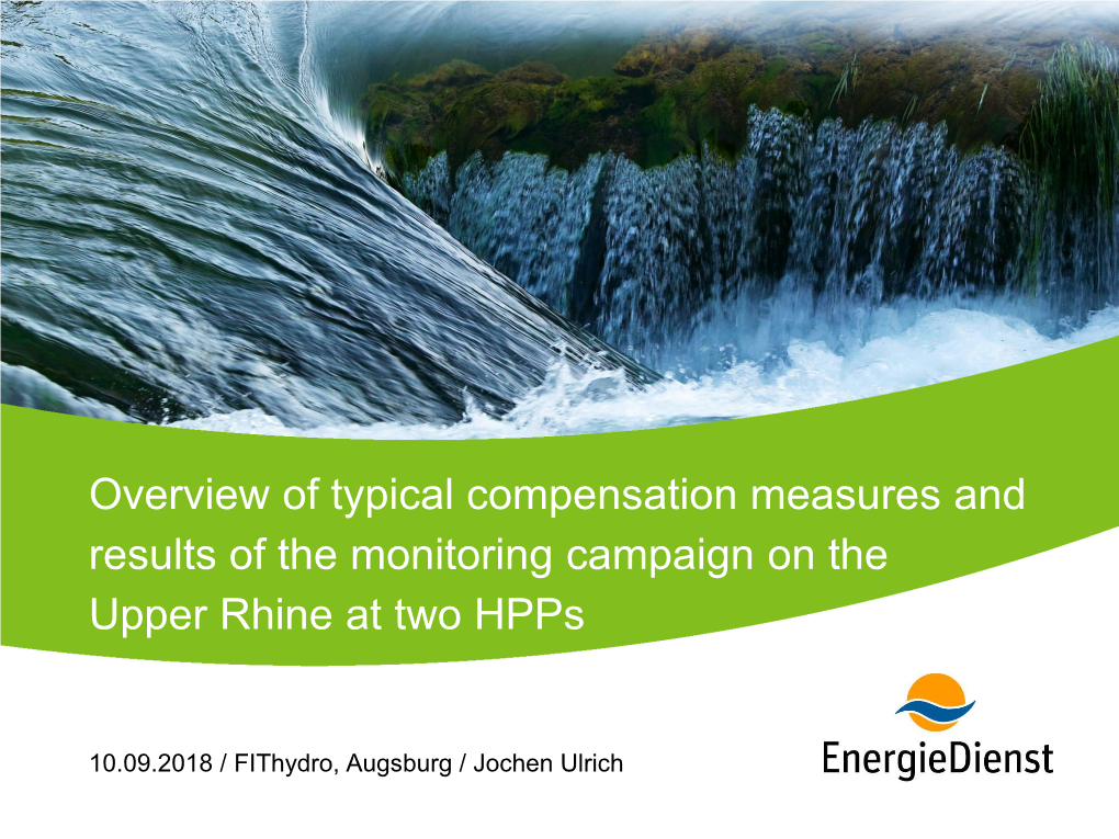 Overview of Typical Compensation Measures and Results of the Monitoring Campaign on the Upper Rhine at Two Hpps