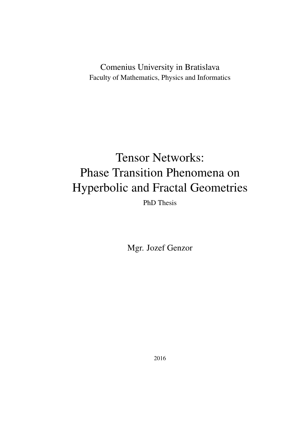 Tensor Networks: Phase Transition Phenomena on Hyperbolic and Fractal Geometries Phd Thesis