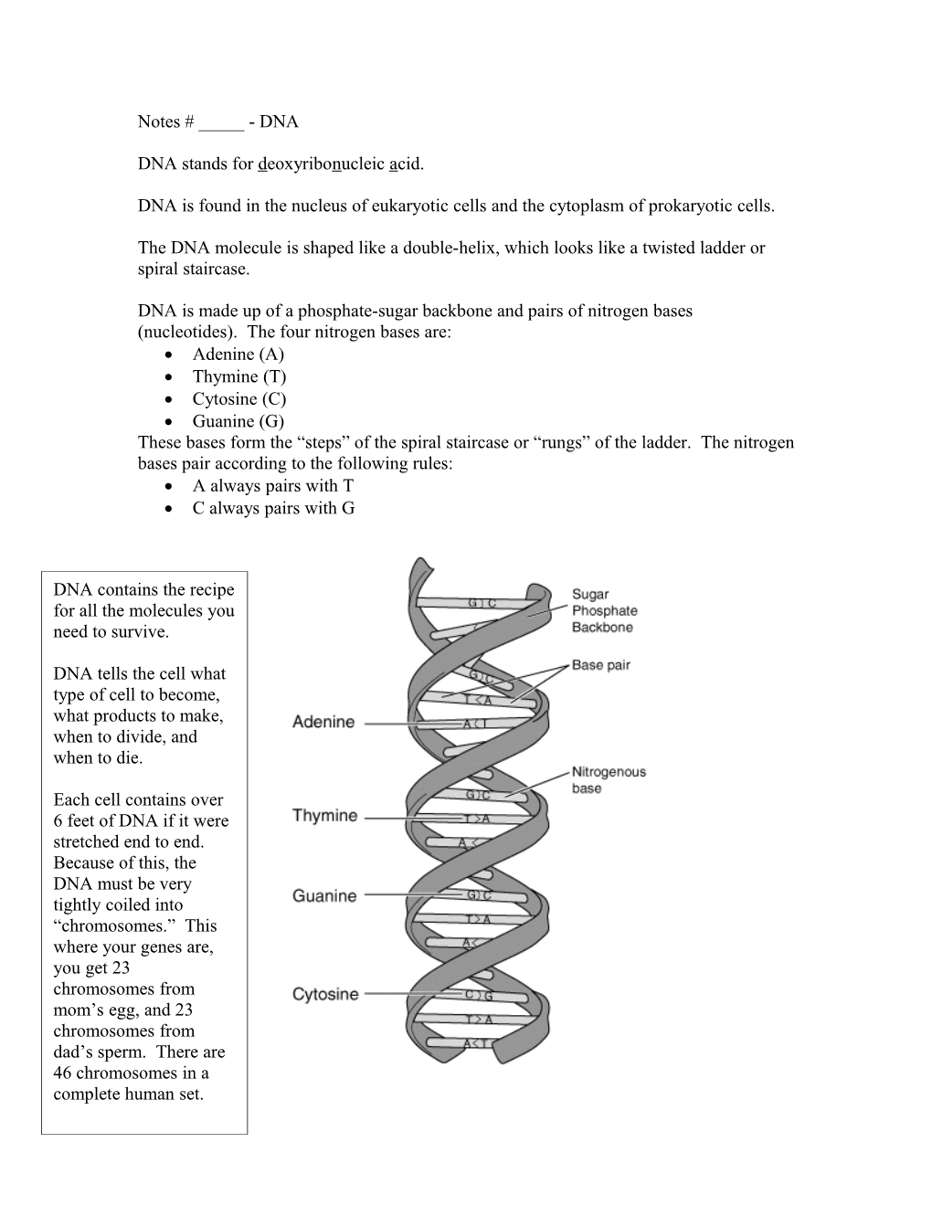 DNA Stands for Deoxyribonucleic Acid