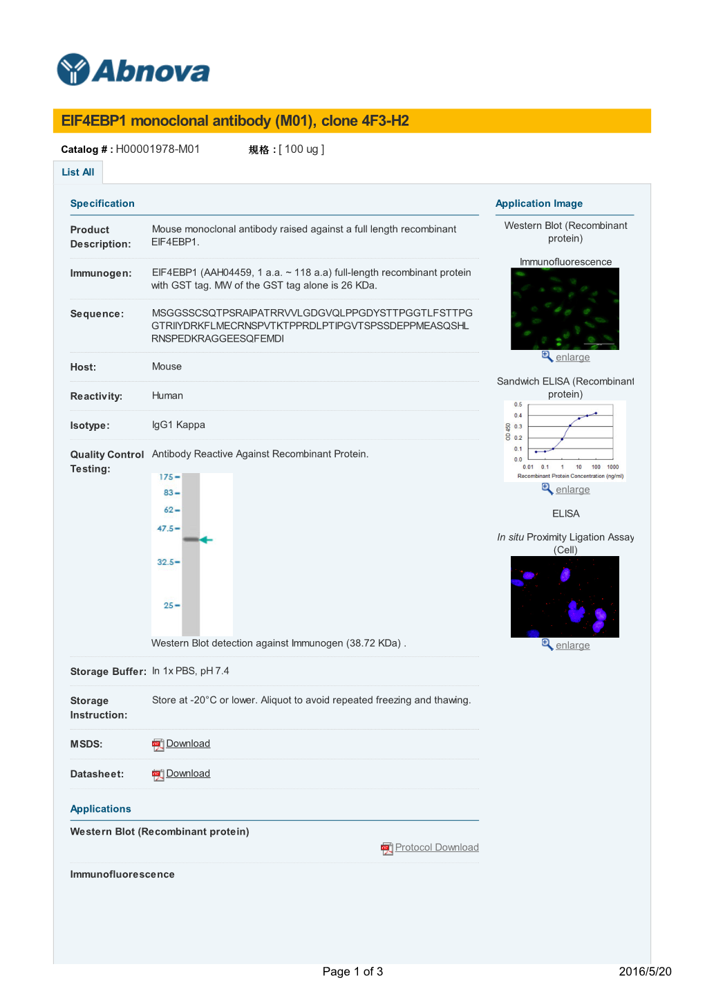 EIF4EBP1 Monoclonal Antibody (M01), Clone 4F3-H2