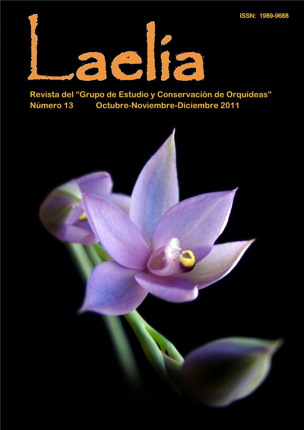 Revista Del “Grupo De Estudio Y Conservación De Orquídeas” Número 13 Octubre-Noviembre-Diciembre 2011