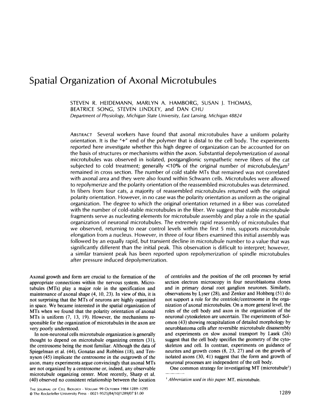 Spatial Organization of Axonal Microtubules