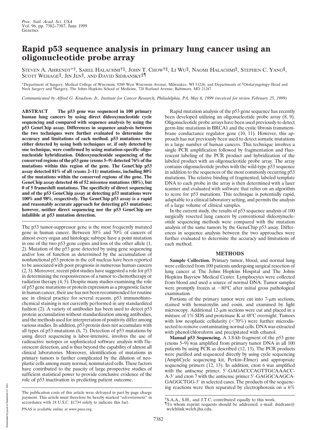 Rapid P53 Sequence Analysis in Primary Lung Cancer Using an Oligonucleotide Probe Array