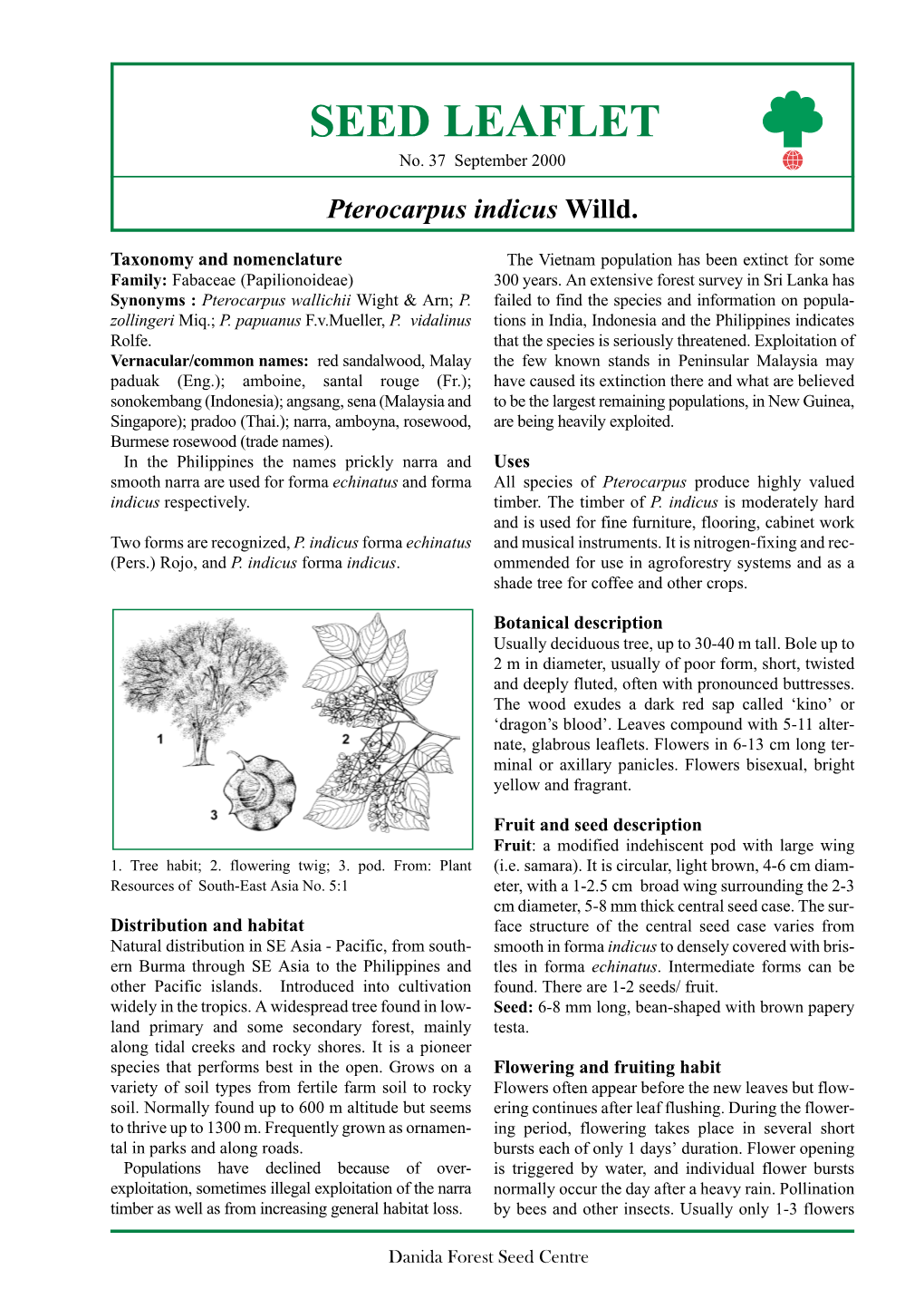 Pterocarpus Indicus Willd