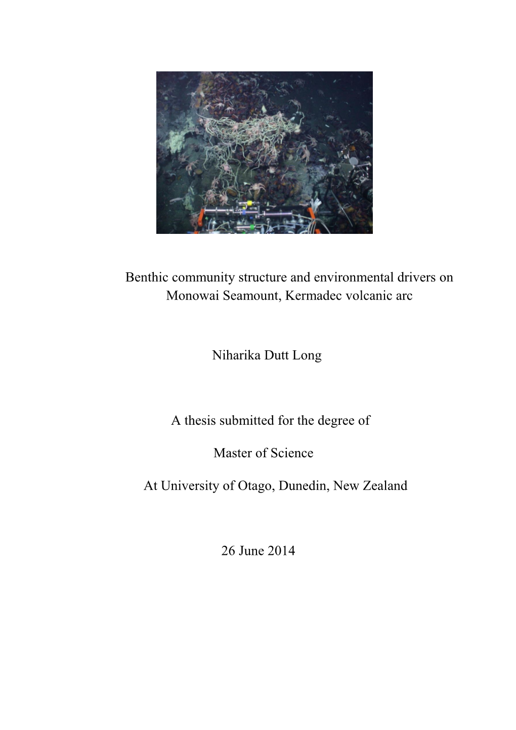 Benthic Community Structure and Environmental Drivers on Monowai Seamount, Kermadec Volcanic Arc