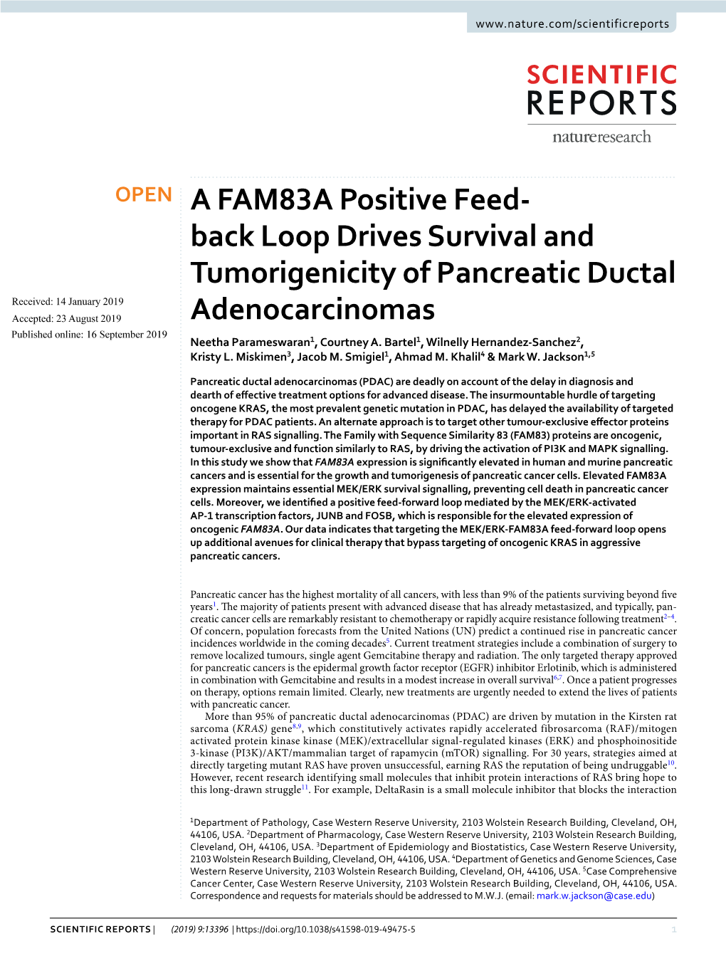 A FAM83A Positive Feed-Back Loop Drives Survival and Tumorigenicity of Pancreatic Ductal Adenocarcinomas