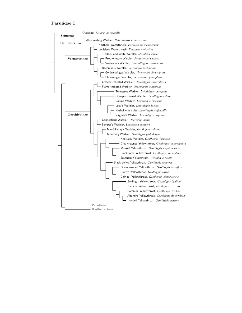 Parulidae Species Tree