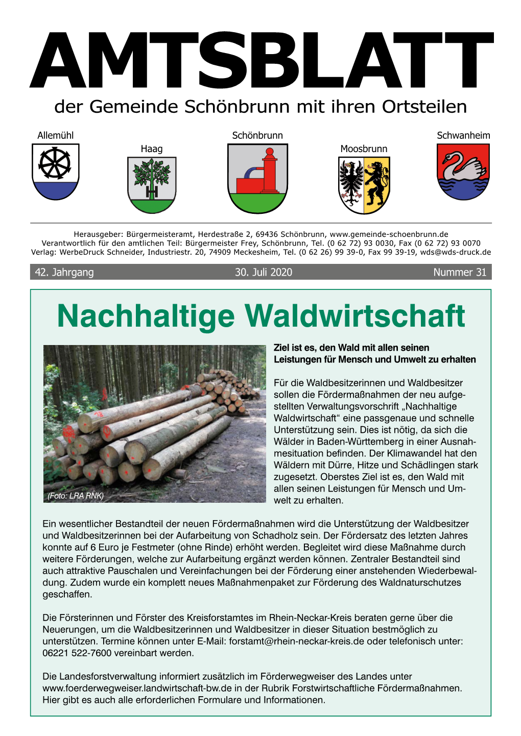 Nachhaltige Waldwirtschaft Ziel Ist Es, Den Wald Mit Allen Seinen Leistungen Für Mensch Und Umwelt Zu Erhalten