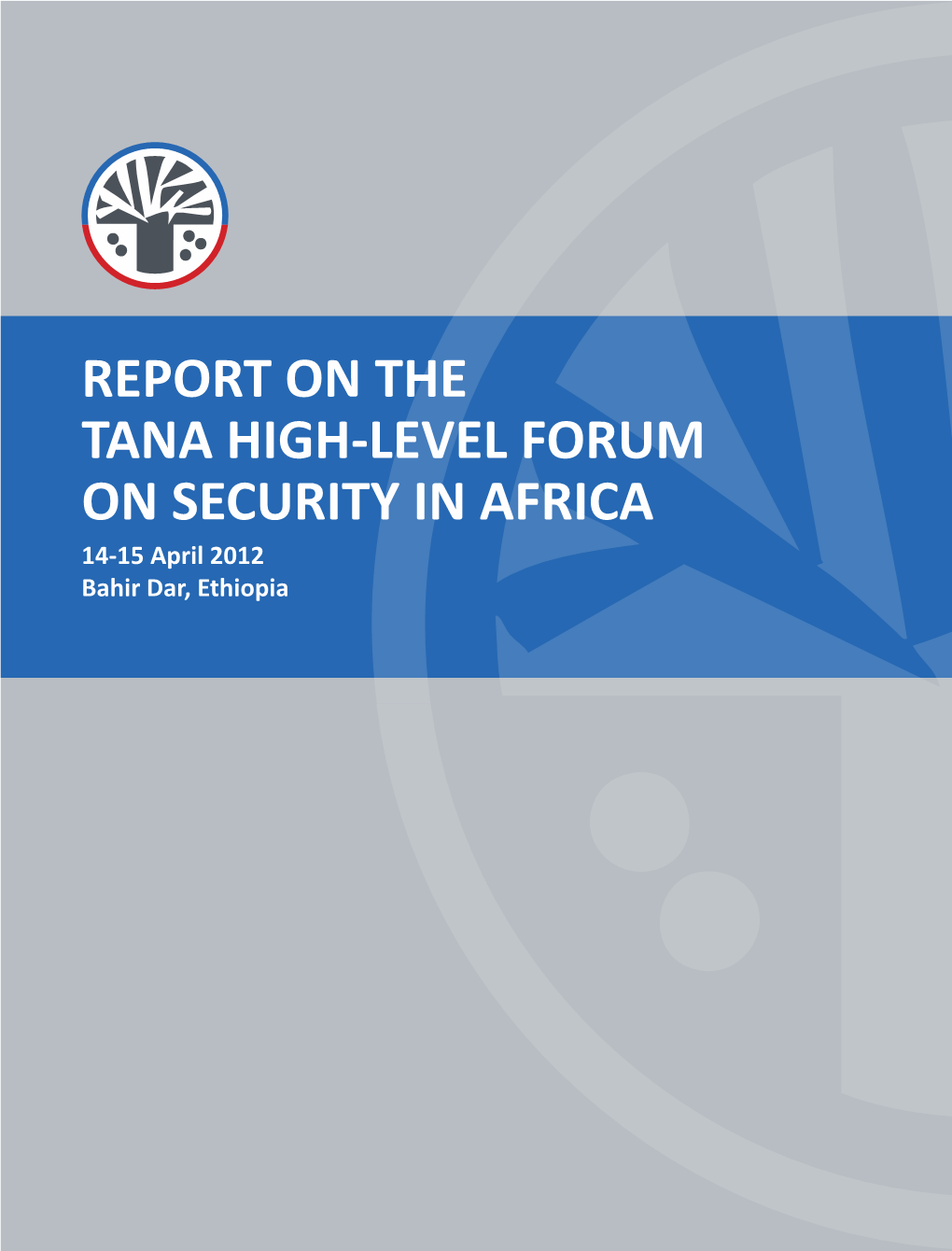 Report on the Tana High-Level Forum on Security in Africa