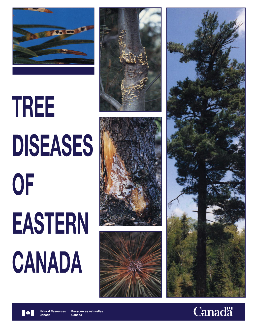 Tree Diseases of Eastern Canada