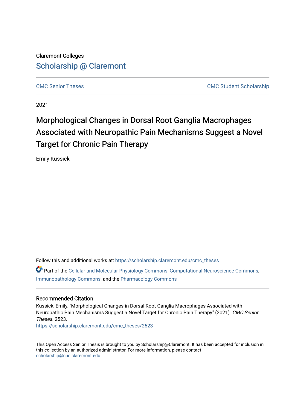 Morphological Changes in Dorsal Root Ganglia Macrophages Associated with Neuropathic Pain Mechanisms Suggest a Novel Target for Chronic Pain Therapy