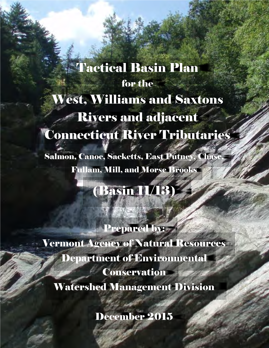 Tactical Basin Plan West, Williams and Saxtons Rivers and Adjacent