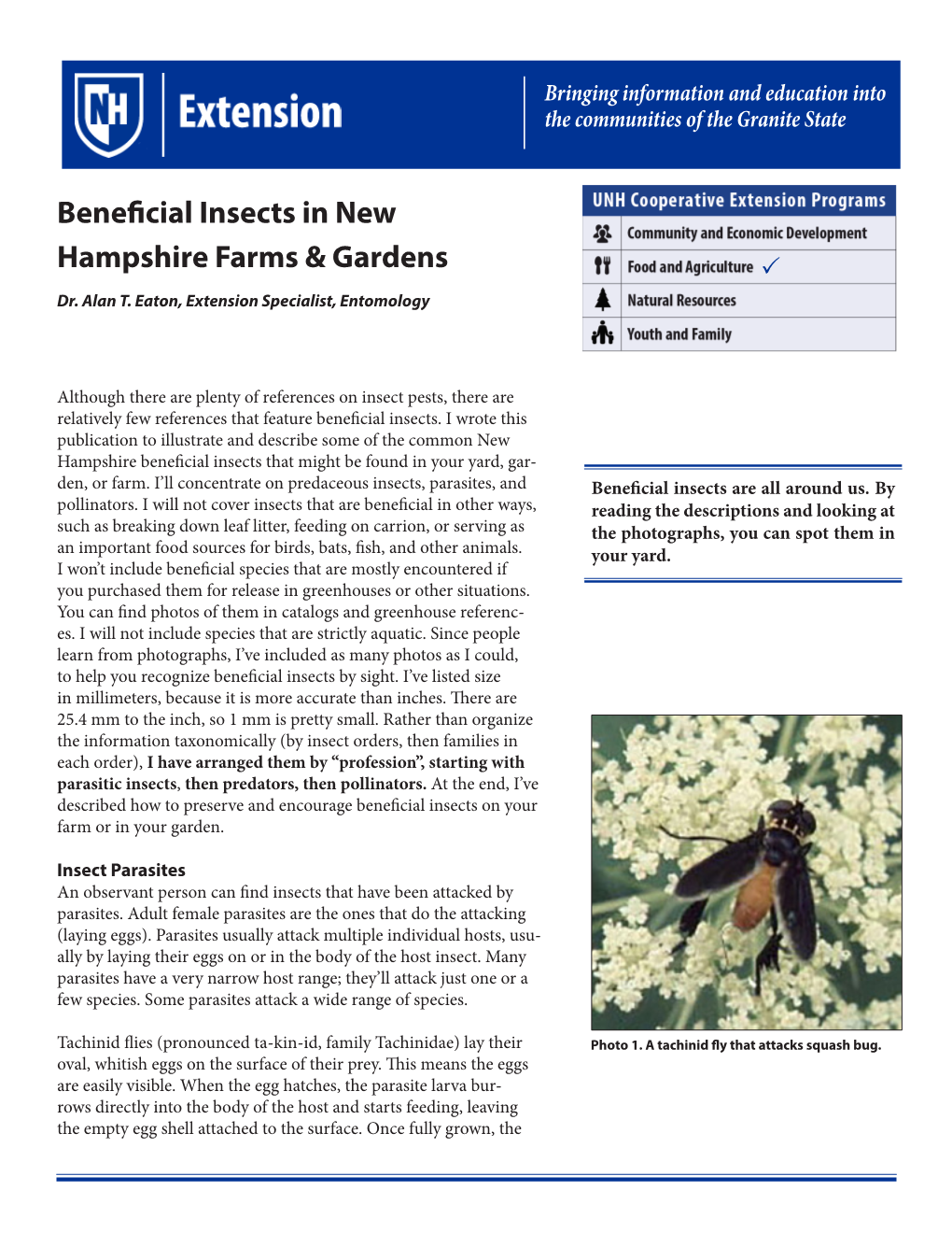 Beneficial Insects in New Hampshire Farms & Gardens