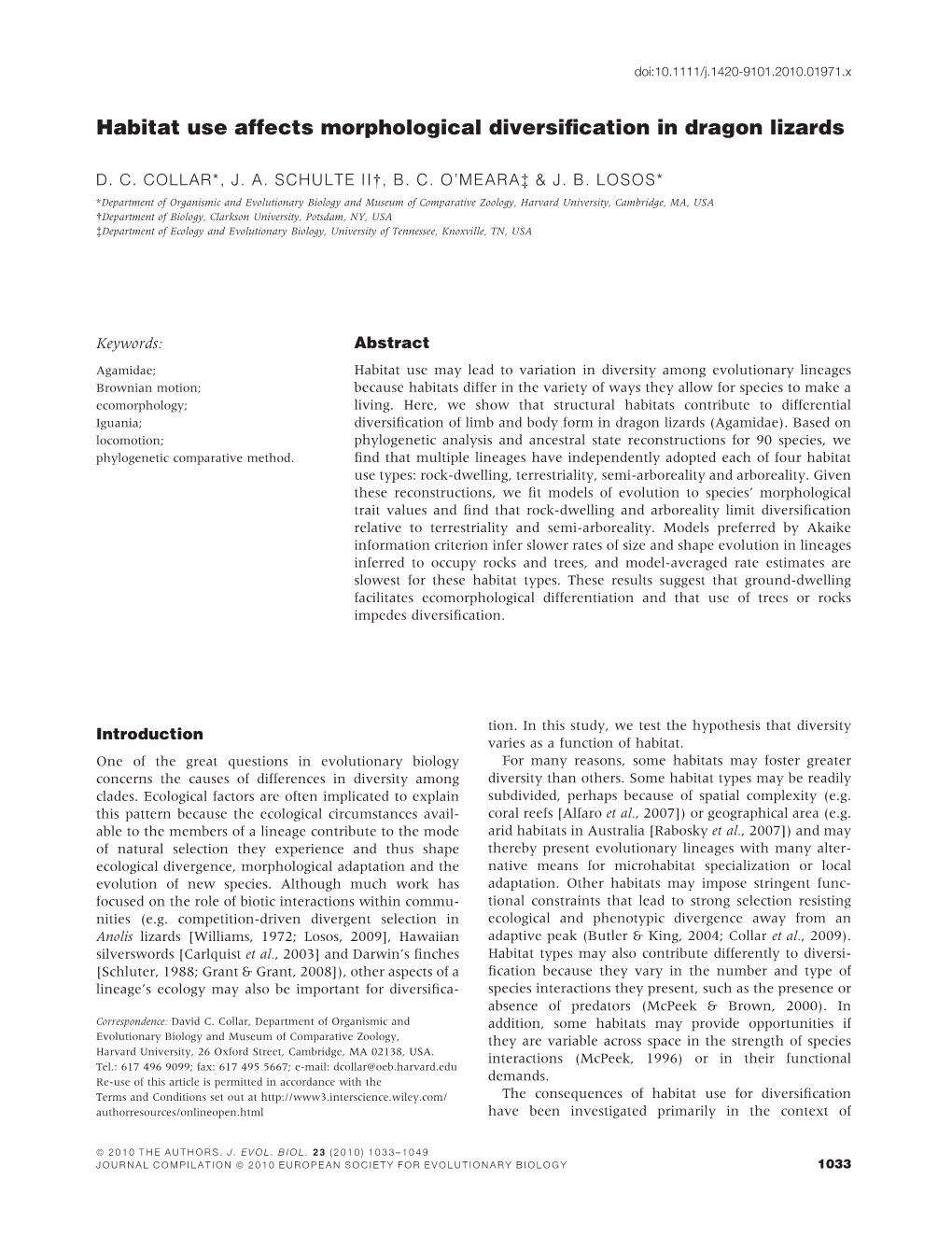 Habitat Use Affects Morphological Diversification in Dragon Lizards