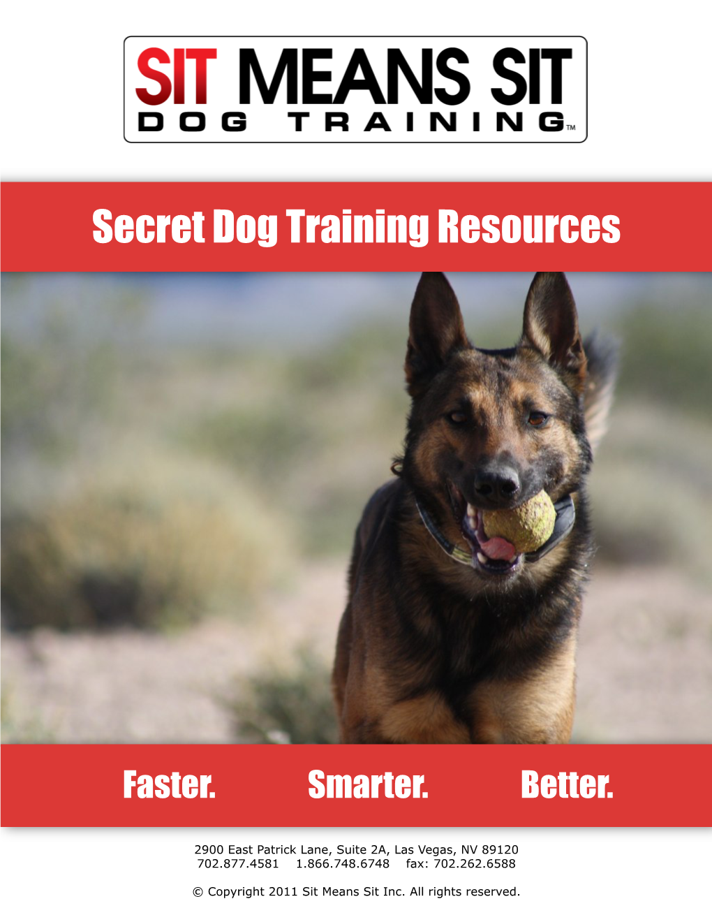 Sit Means Sit Dog Training