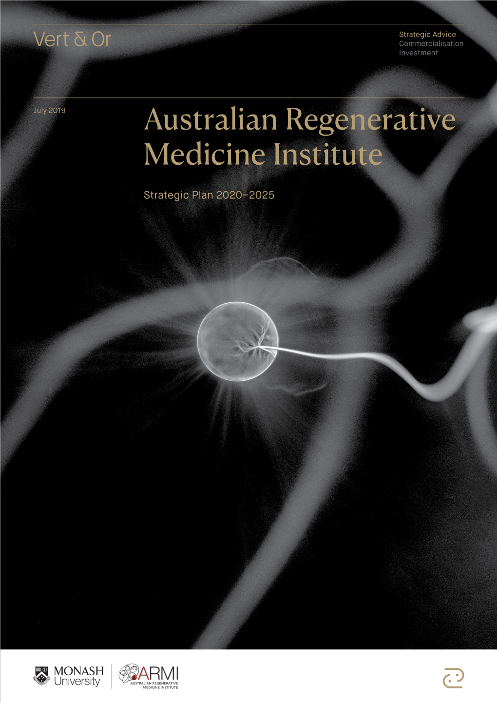 Australian Regenerative Medicine Institute Strategic Plan 2020–2025
