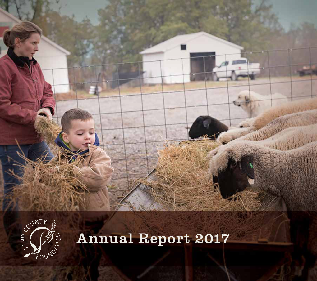 2017 Annual Report