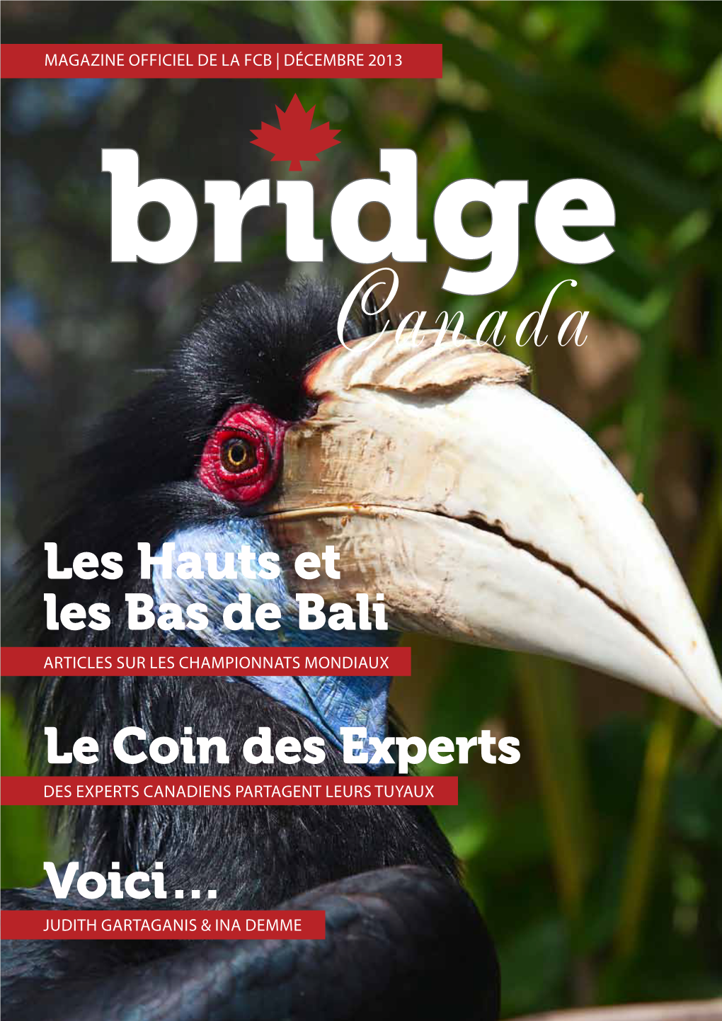 Le Coin Des Experts Les Hauts Et Les Bas De Bali Voici…