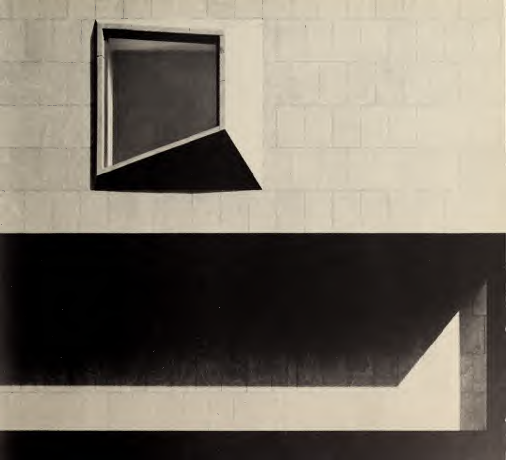 Robert Irwin