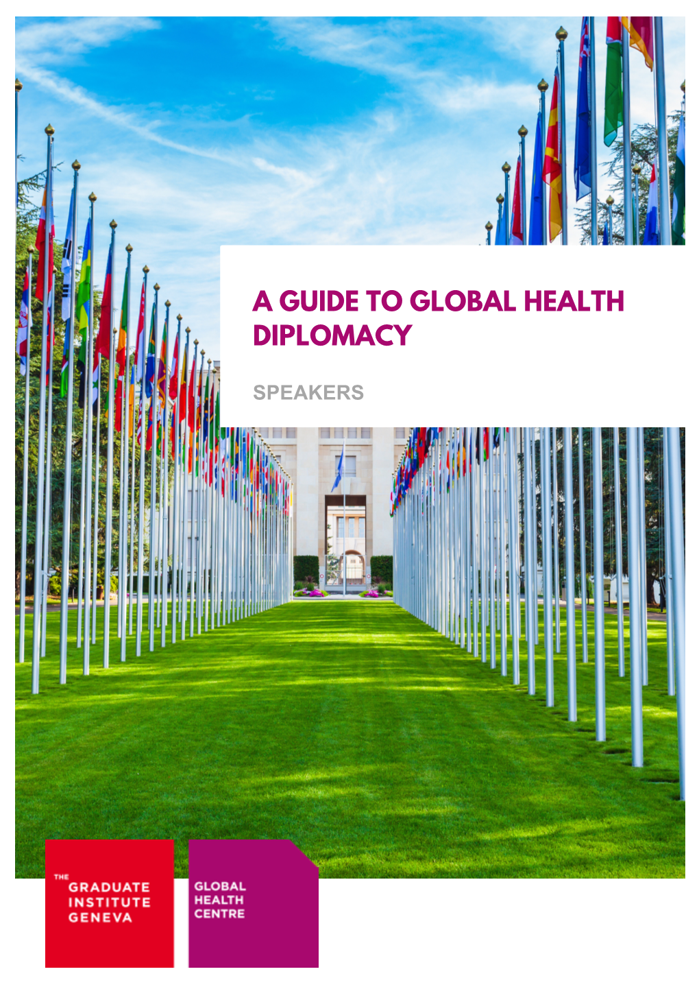 A Guide to Global Health Diplomacy