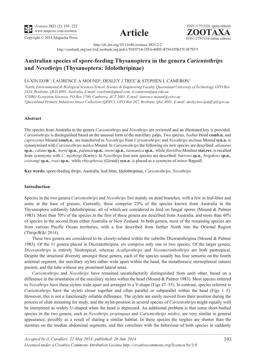 Australian Species of Spore-Feeding Thysanoptera in the Genera Carientothrips and Nesothrips (Thysanoptera: Idolothripinae)