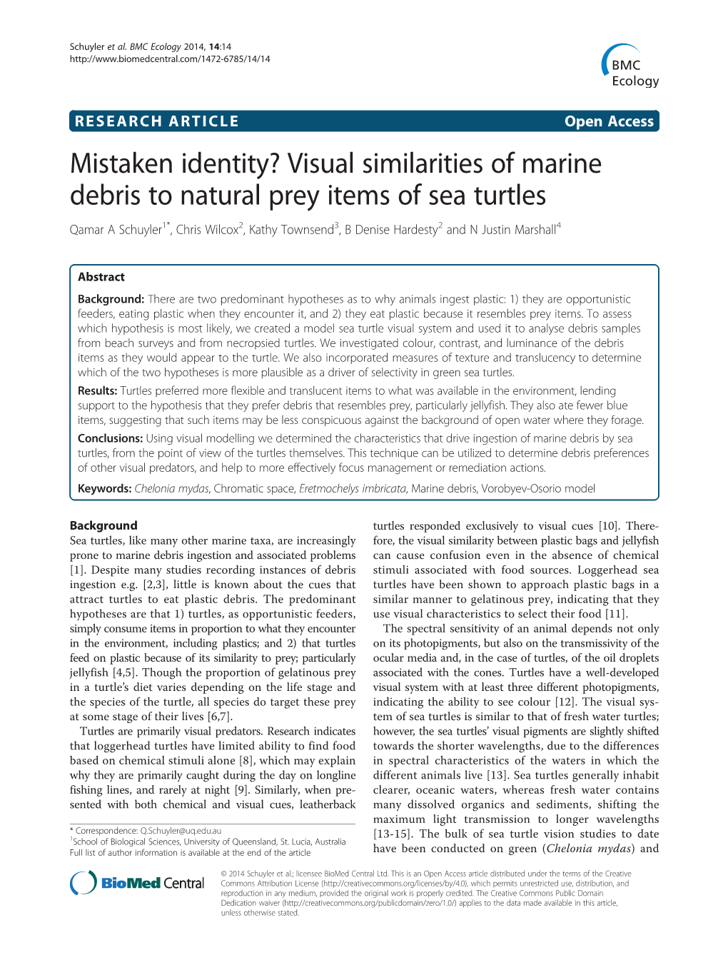 Visual Similarities of Marine Debris to Natural Prey Items of Sea Turtles