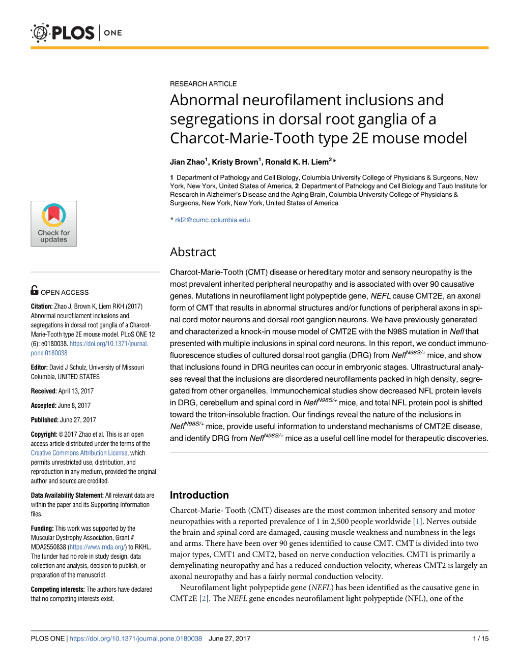 Abnormal Neurofilament Inclusions and Segregations in Dorsal Root Ganglia of a Charcot-Marie-Tooth Type 2E Mouse Model