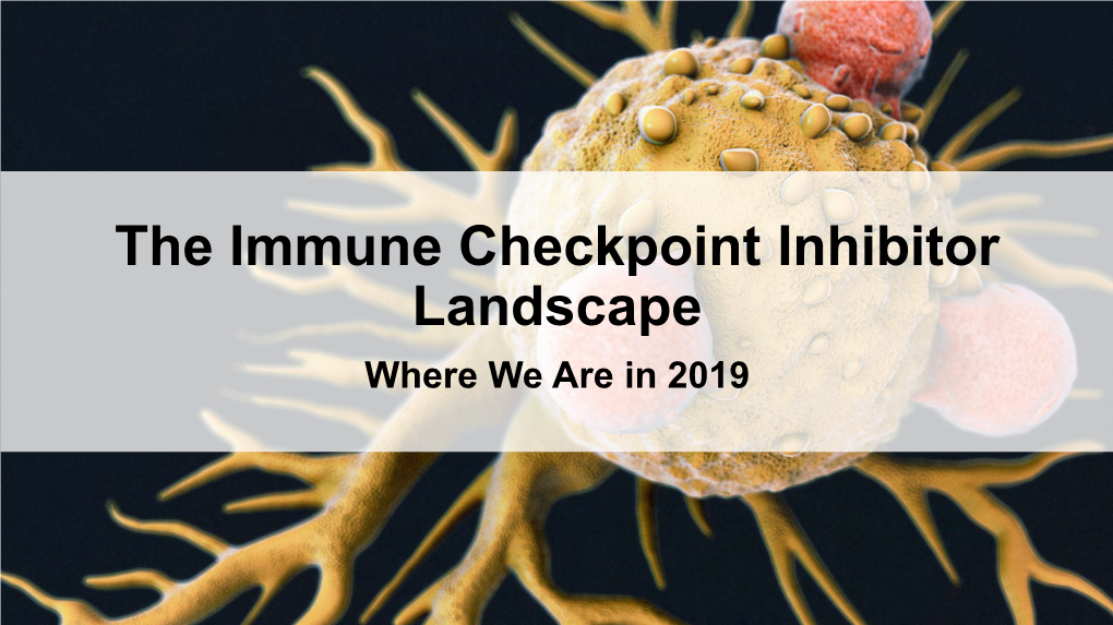 The Immune Checkpoint Inhibitor Landscape