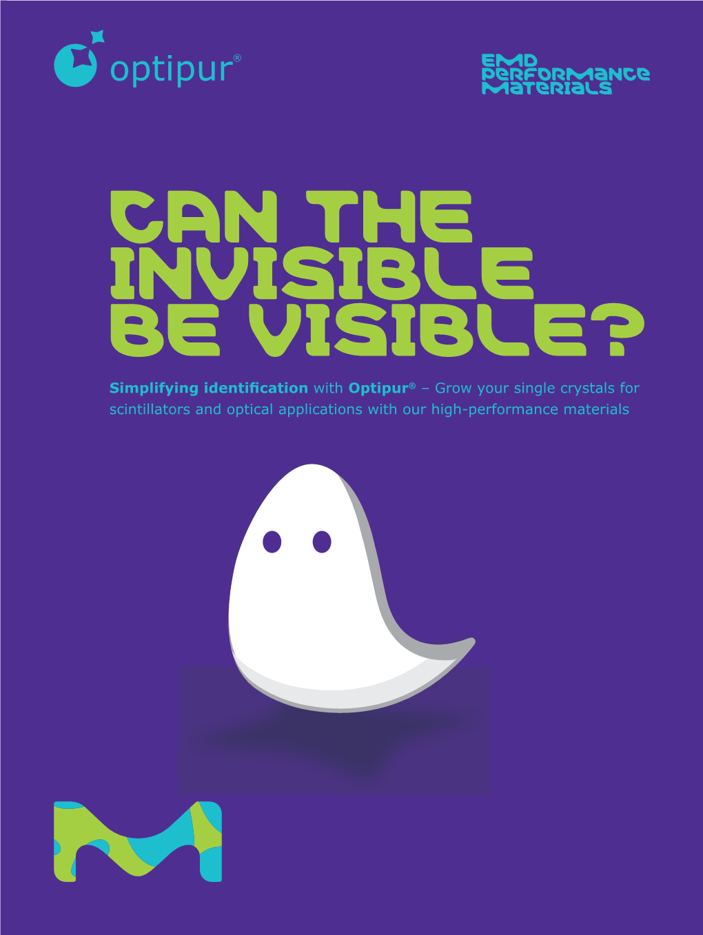 Can the Invisible Be Visible?