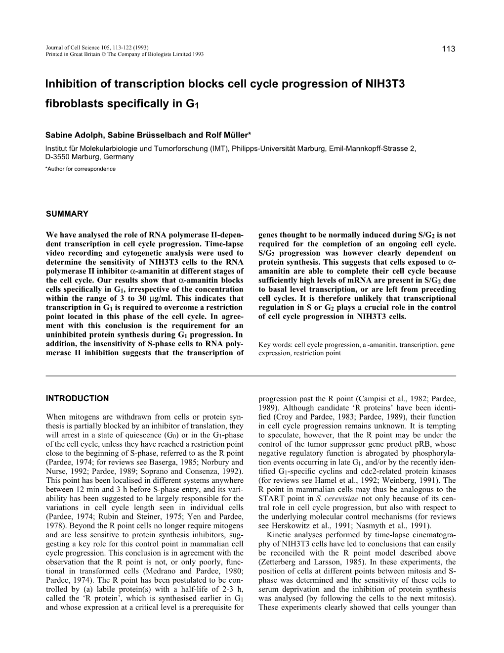 Inhibition of Transcription Blocks Cell Cycle Progression of NIH3T3