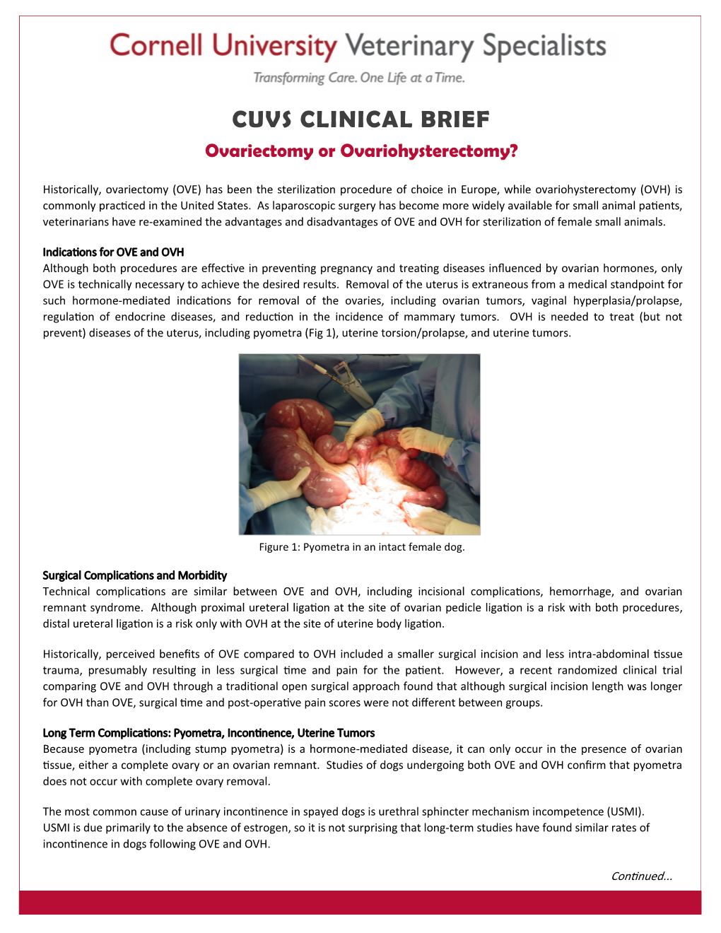 CUVS CLINICAL BRIEF Ovariectomy Or Ovariohysterectomy?