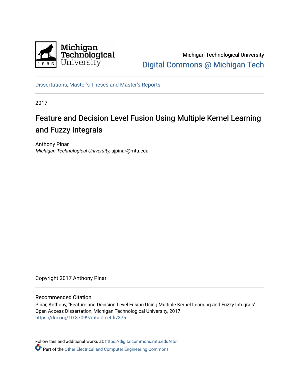 Feature and Decision Level Fusion Using Multiple Kernel Learning and Fuzzy Integrals